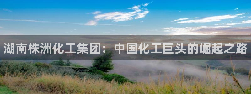 球盟会黑平台