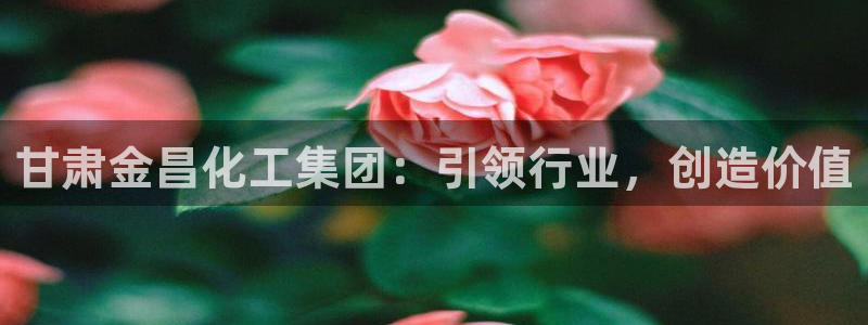 球盟会黑