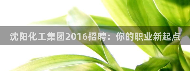 球盟会APP官网
