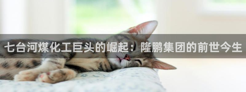 球盟会优惠领取网站