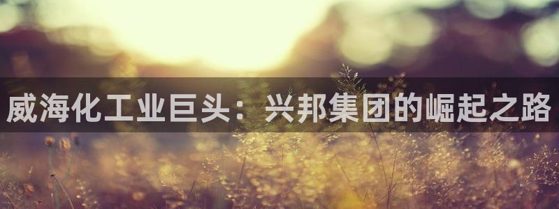 球盟会可以提现么是真的吗