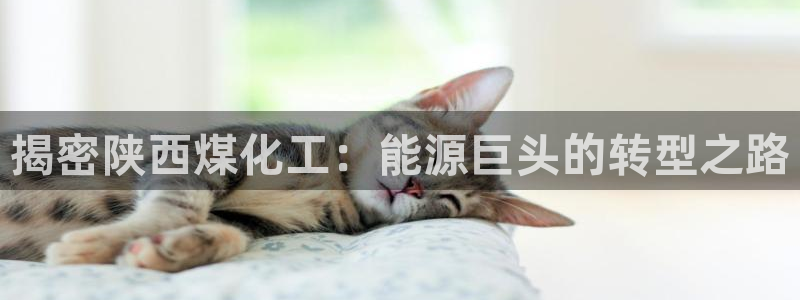 球盟会app安装