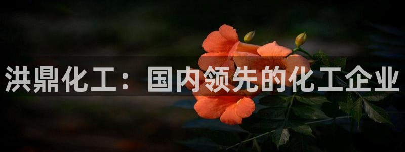 球盟会黑网