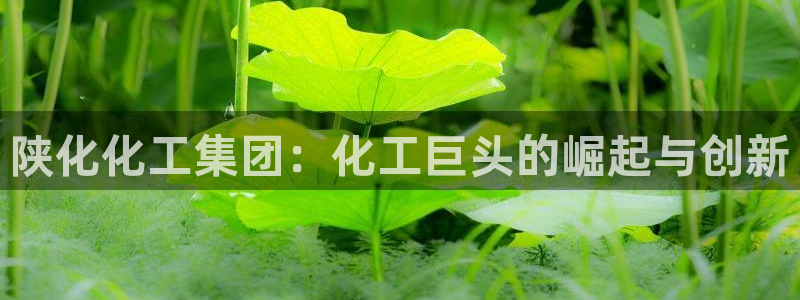 球盟会黑