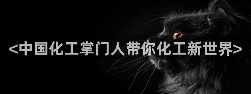球盟会头号玩家