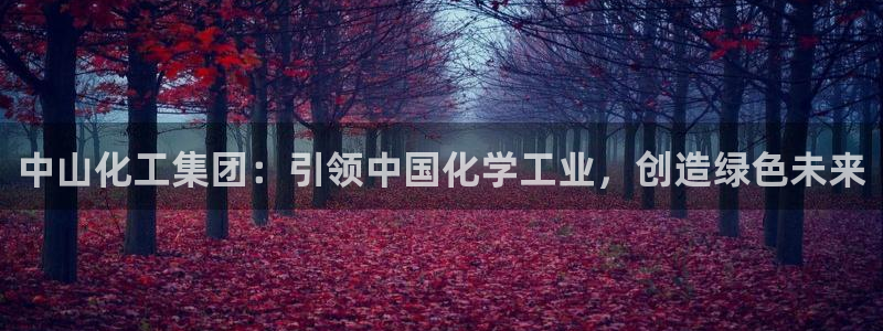 球盟会官方平台入口：中山化工集团：引领中国化学工业，创造绿色