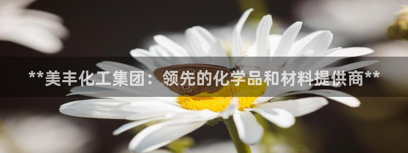 千亿球盟会：**美丰化工集团：领先的化学品和材料提供商**