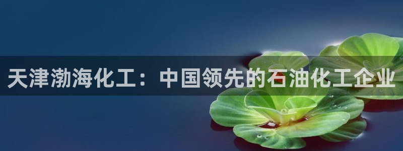 球盟会官方客服：天津渤海化工：中国领先的石油化工企业