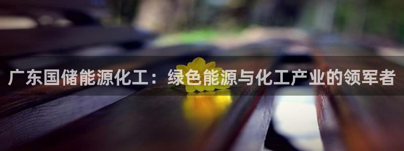 球盟会能提现吗