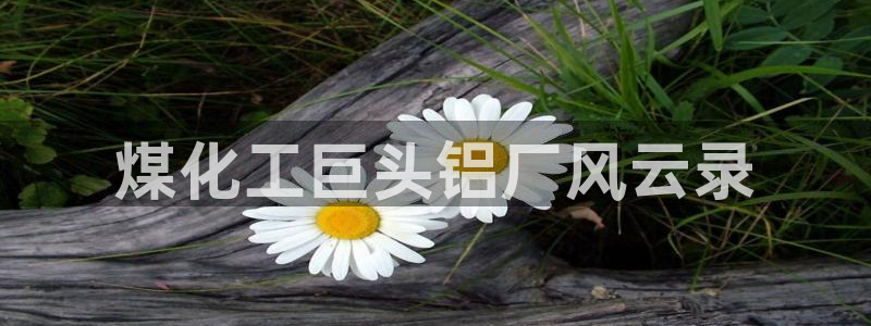 球盟会有没有黑单的球员