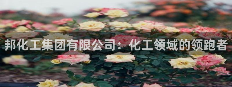 球盟会app最新地址下载安装