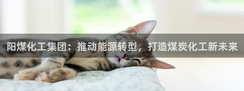 球盟会邮箱