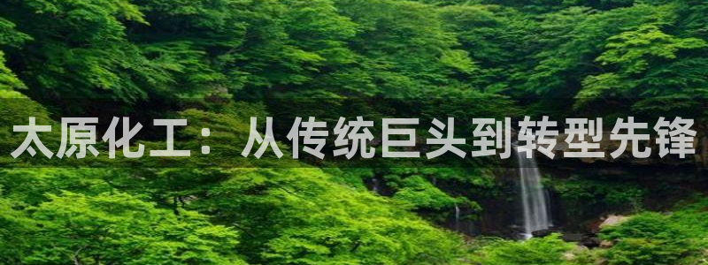 球盟会