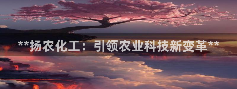 球盟会黑款吗知乎文章