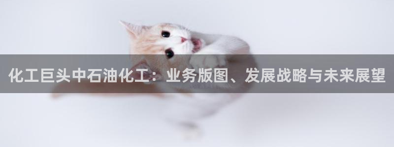 球盟会在线网站