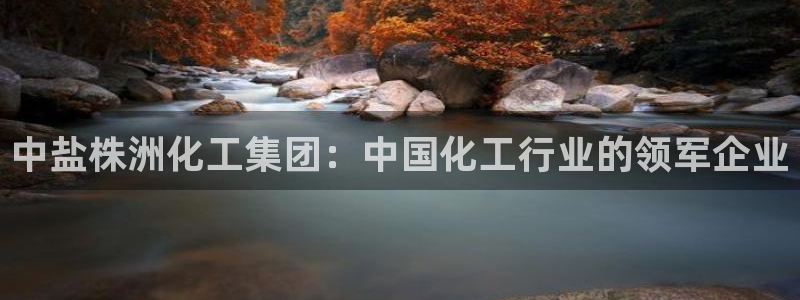 球盟会网址多少