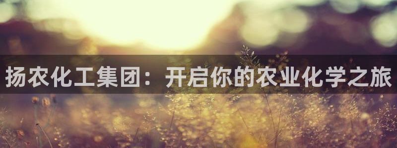 球盟会登录入口