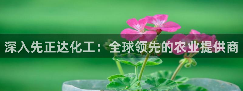 球盟会qmh