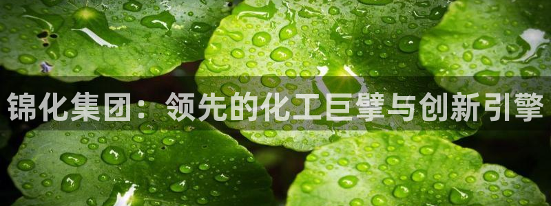 球盟会黑