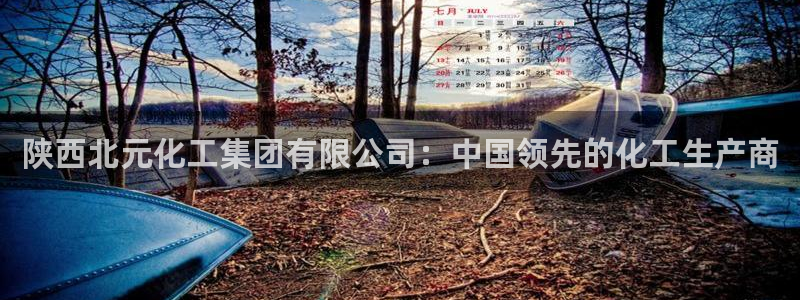 球盟会APP下载：陕西北元化工集团有限公司：中国领先的化工生