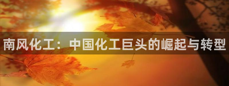 球盟会可以提现么