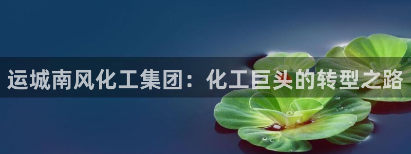 球盟会app最新地址在哪里