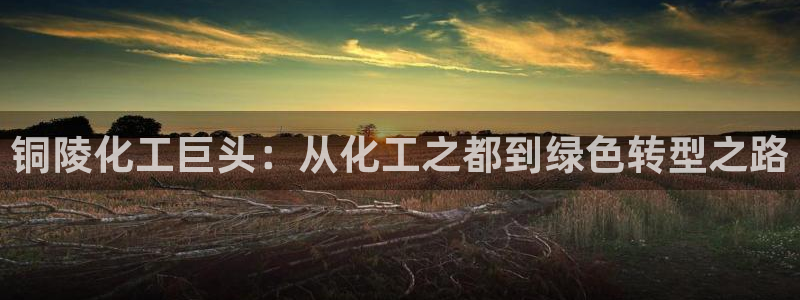 球盟会综合体育平台