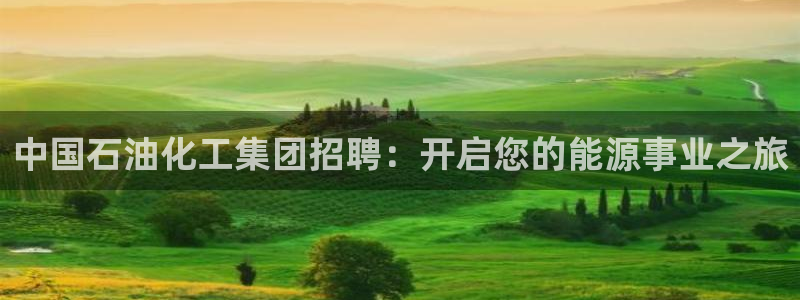 球盟会在线登入：中国石油化工集团招聘：开启您的能源事业之旅