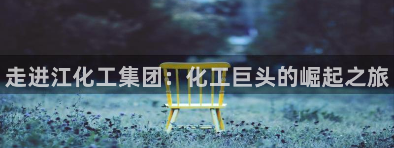 球盟会黑台子