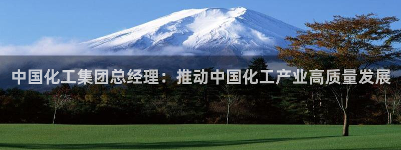 球盟会里面有打牌的嘛：中国化工集团总经理：推动中国化工产业高