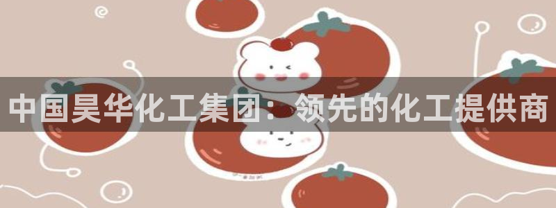 球盟会黑台：中国昊华化工集团：领先的化工提供商