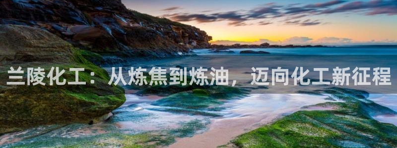 球盟会官方