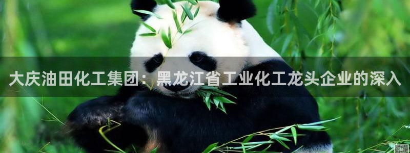球盟会黑网