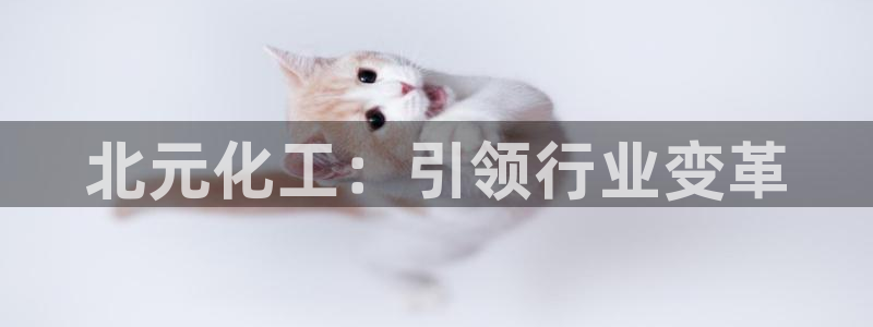 球盟会手机网页版：北元化工：引领行业变革