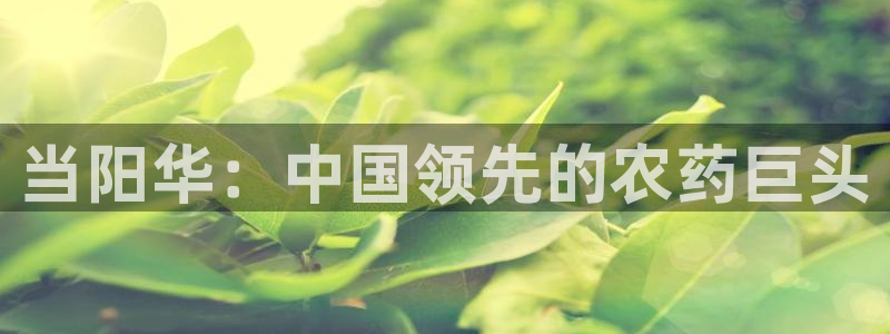 球盟会最新网：当阳华：中国领先的农药巨头
