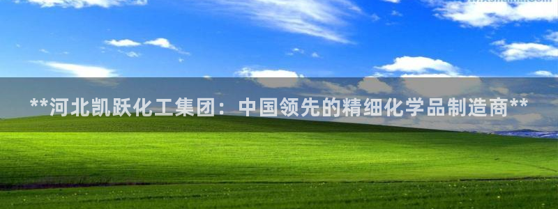 球盟会官方网站：**河北凯跃化工集团：中国领先的精细化学品制