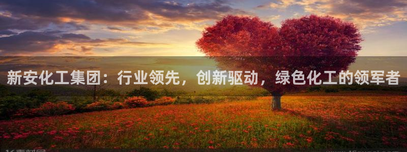 球盟会平台会黑单吗：新安化工集团：行业领先，创新驱动，绿色化