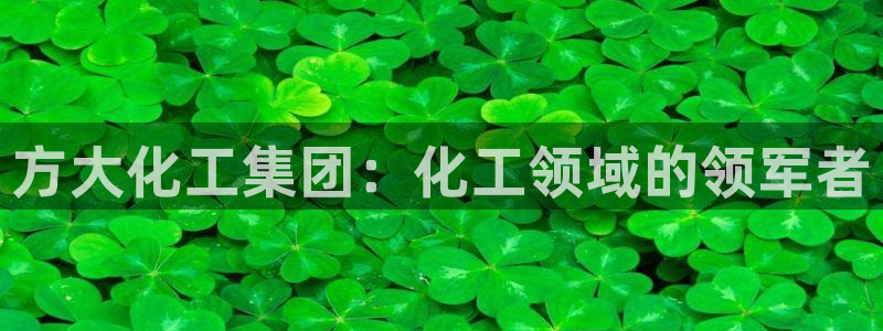 球盟会和中欧会的区别