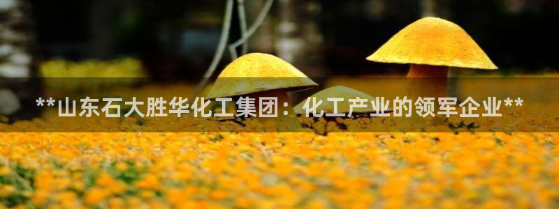千亿球盟会：**山东石大胜华化工集团：化工产业的领军企业**