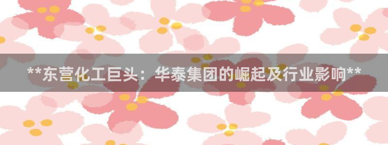 球盟会和中欧：**东营化工巨头：华泰集团的崛起及行业影响**