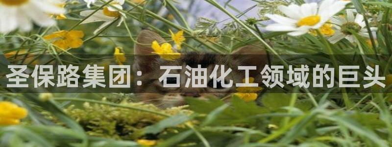 球盟会APP官网