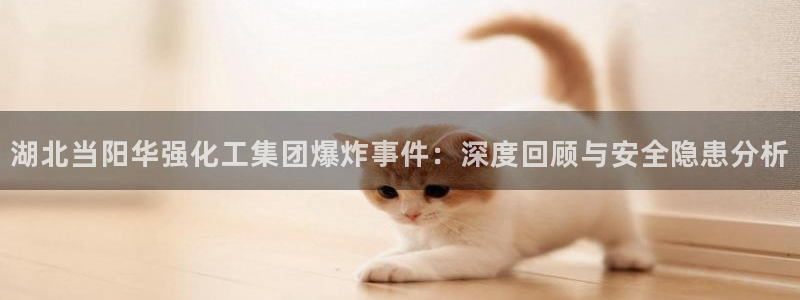 球盟会乐虎：湖北当阳华强化工集团爆炸事件：深度回顾与安全隐患