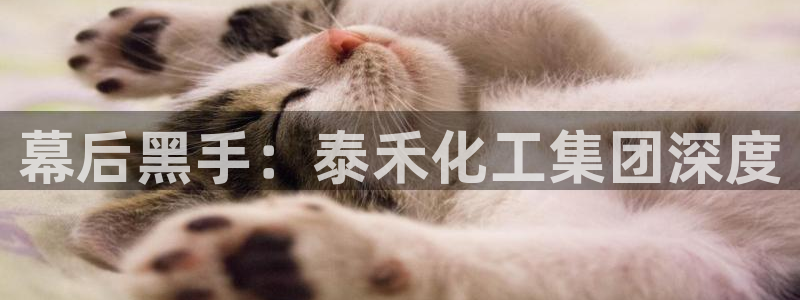 球盟会有限公司怎么样