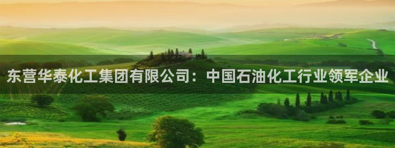 球盟会网址：东营华泰化工集团有限公司：中国石油化工行业领军企