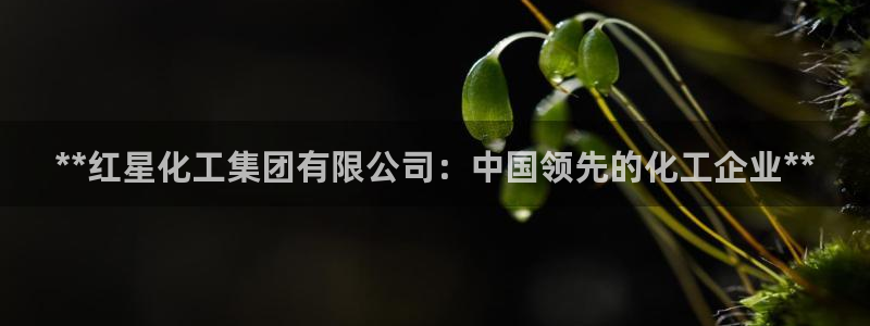 球盟会类似的网站：**红星化工集团有限公司：中国领先的化工企
