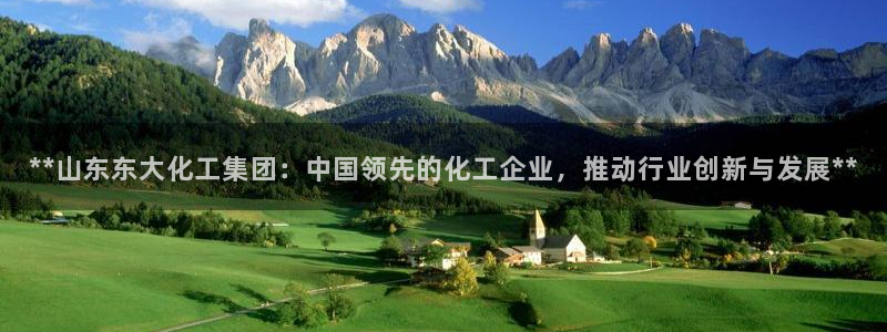球盟会官网入口：**山东东大化工集团：中国领先的化工企业，推