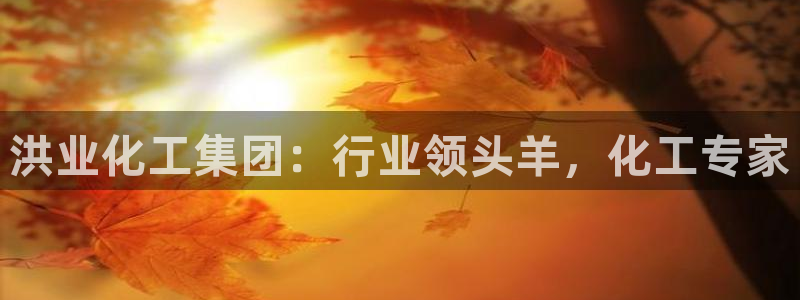 球盟会游戏