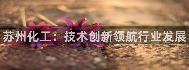 球盟会app最新地址在哪找