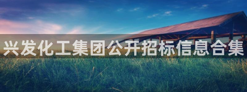球盟会App