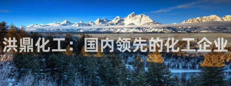 球盟会在线网站